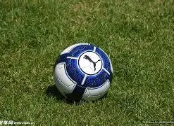 岁华裔篮球,后卫朱正正,式成为中国,分分彩,彩票平台,在线购彩,高频彩票,快速开奖