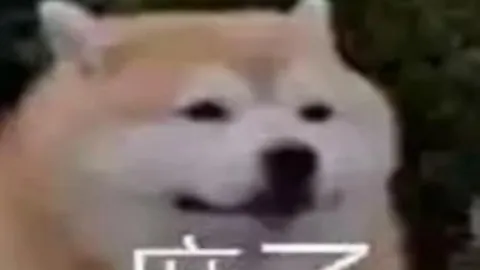 弗赖堡客场挑战里尔，能否打破不败神话？